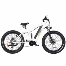 48V Mountain Middle Drive Motor Electric Bike